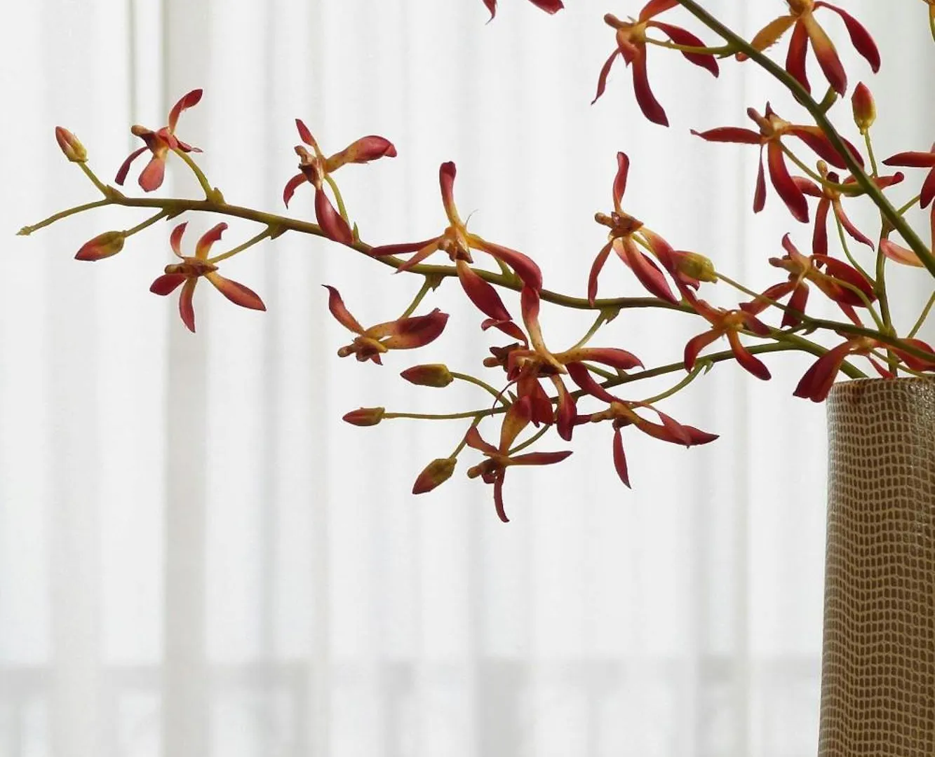 ****  The Westin Savannah Harbor Golf Resort & Spa Estados Unidos